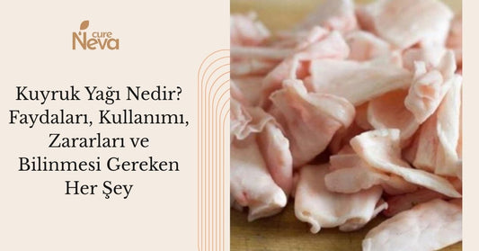Kuyruk Yağı Nedir? Faydaları, Kullanımı, Zararları ve Bilinmesi Gereken Her Şey