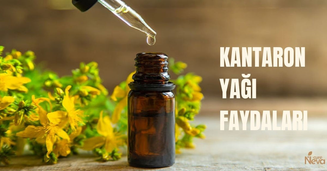 kantaron yağı faydaları