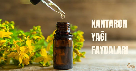 kantaron yağı faydaları