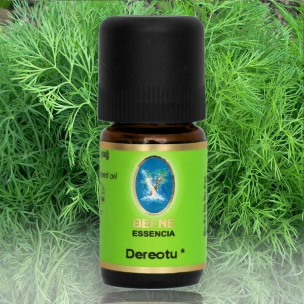 Dereotu (Organik)
