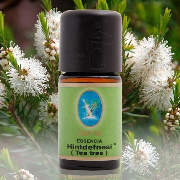 Hint Defnesi (Tea Tree)
