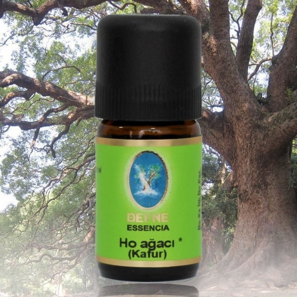 Ho ağacı (Kafur)