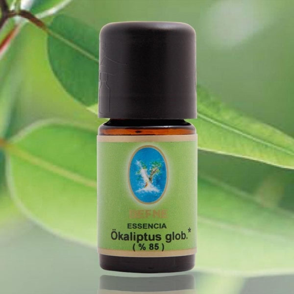 Ökaliptus Globus