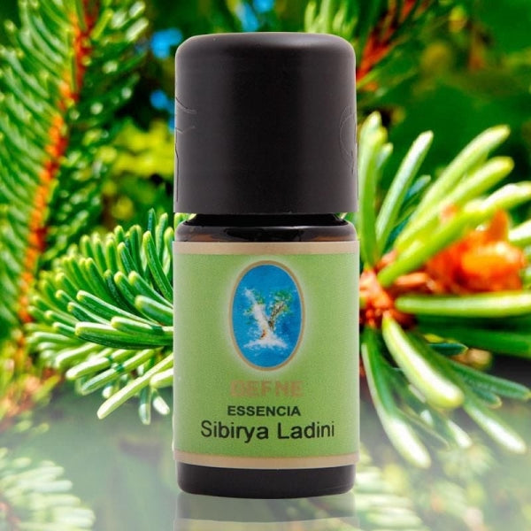 Sibirya Ladini