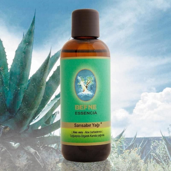 Sarısabır (Aloe vera) Yağı