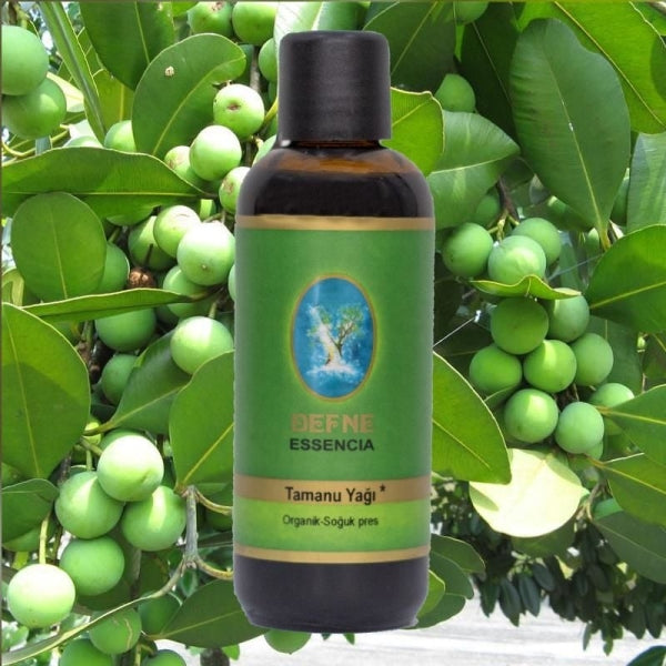 Organik Tamanu yağı 30 ml