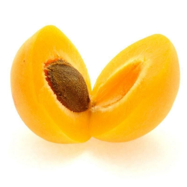 Zerdali (Kayısı) Çekirdeği Yağı
