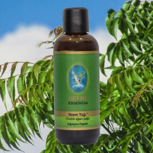 Neem (Tesbih Ağacı) Yağı