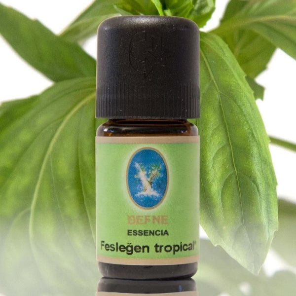 Fesleğen Tropical (Organik)