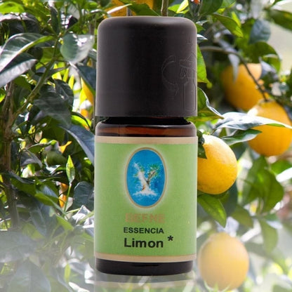 Limon