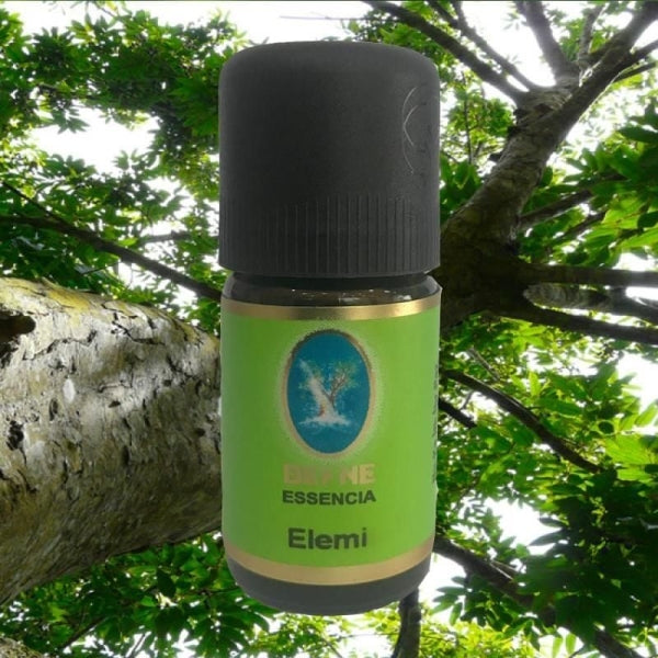 Elemi