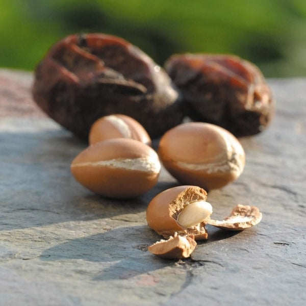 Argan Yağı
