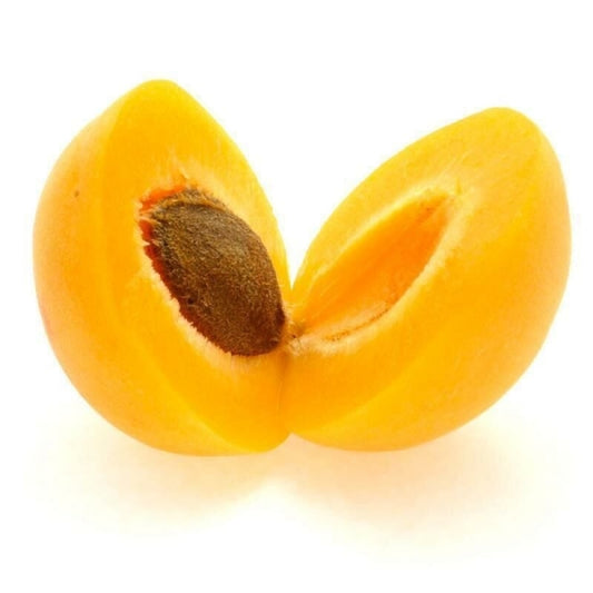 Zerdali (Kayısı) Çekirdeği Yağı